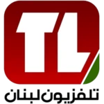 two media group dig marketing social media agency