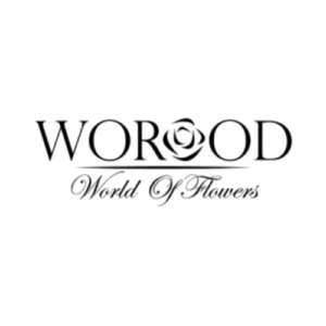 two media digital marketing agency lebanon digital marketing marketing worood