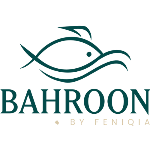 two media group digital marketing companies in lebanon marketing agency lebanon bahroon