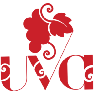 two media marketing agency for startups digital marketing services lebanon uva