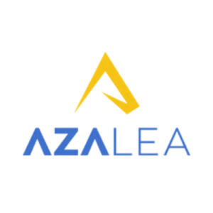 two media online advertising companies big marketing agencies azalea