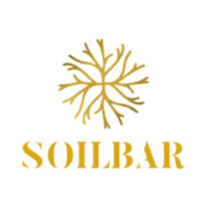 two media performance based marketing agency digital marketing beirut soilbar