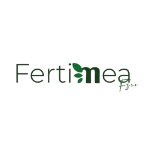 two media social media agency lebanon online advertising company fertimea