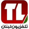 two media group brand advertising digital marketing and advertising company lebanon